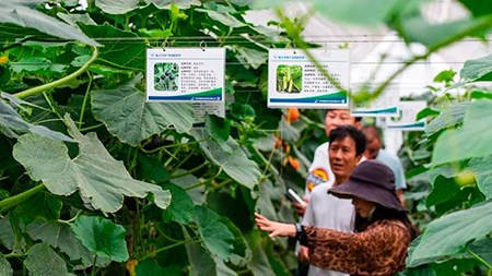 空間站與“卡脖子”，中國在警醒中爭取“逆襲