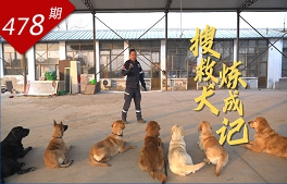 人間暖陽系列：搜救犬煉成記